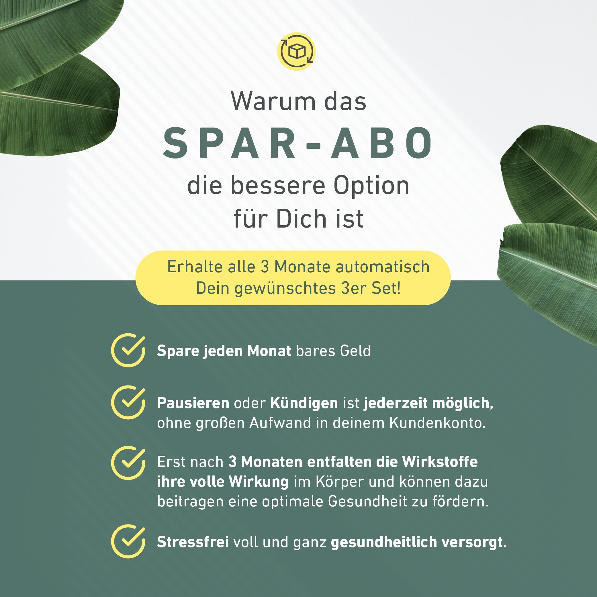 Warum das Spar-Abo die bessere Option für dich ist: Erhalte alle 3 Monate automatisch Dein gewünschtes 3er Set!
Vorteile: Spare jeden Monat bares Geld. Pausieren und Kündigen ist jederzeigt möglich – ohne großen Aufwand in deinem Kundenkonto. Erst nach 3 Monaten entfalten die Wirkstoffe ihre volle Wirkung im Körper und können dazu beitragen eine optimale Gesundheit zu fördern. Stressfrei voll und ganz gesundheitlich versorgt.