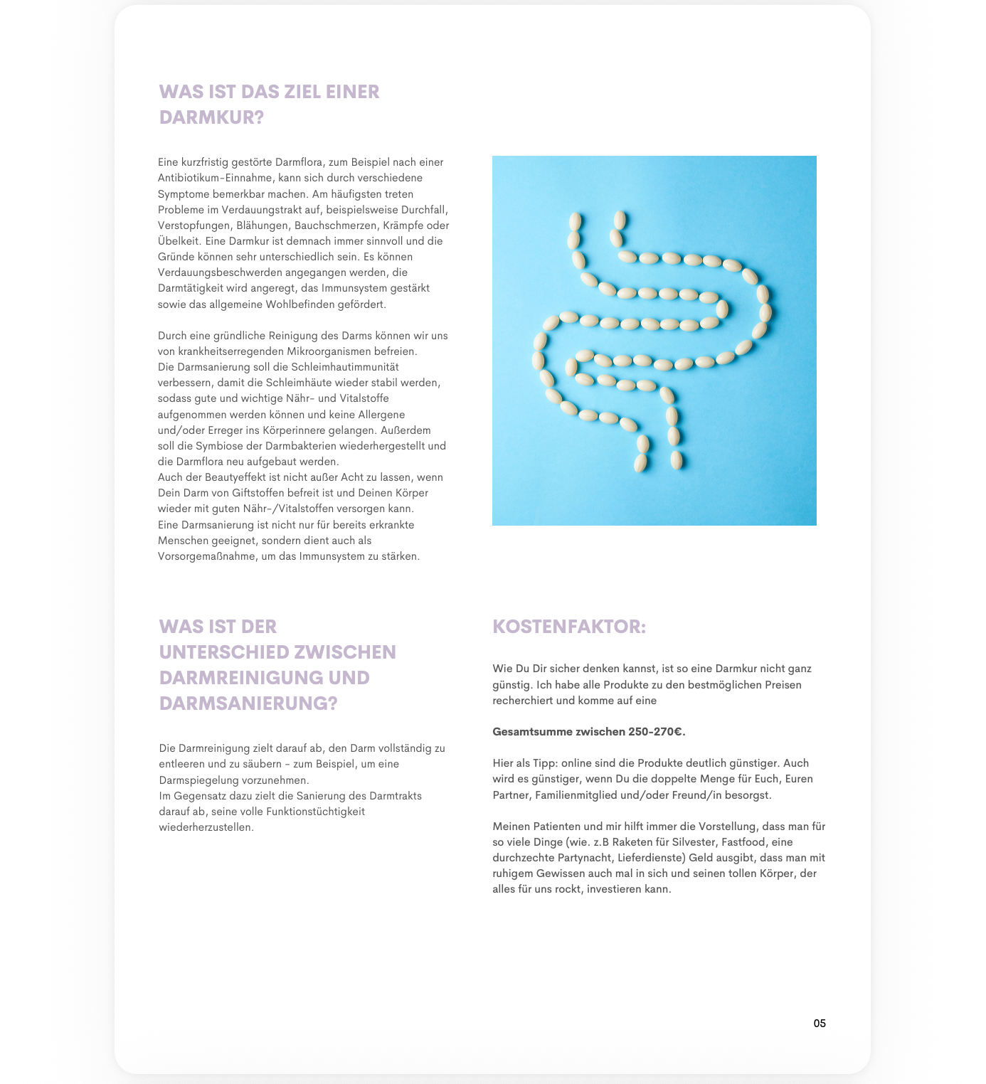 H&amp;P Ratgeber: Darmkur (PDF-Download)